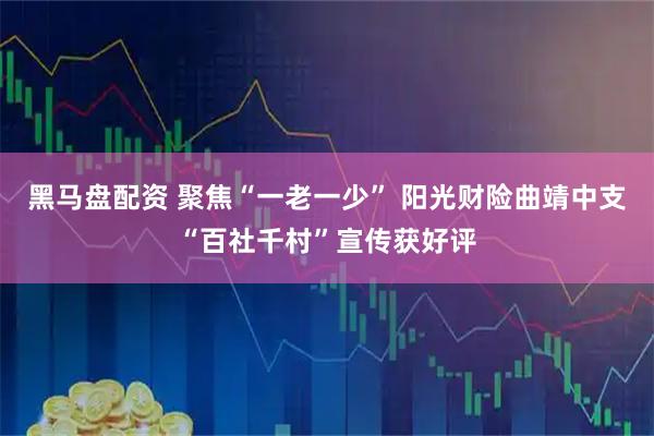 黑马盘配资 聚焦“一老一少” 阳光财险曲靖中支“百社千村”宣传获好评