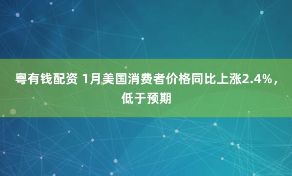 粤有钱配资 1月美国消费者价格同比上涨2.4%，低于预期